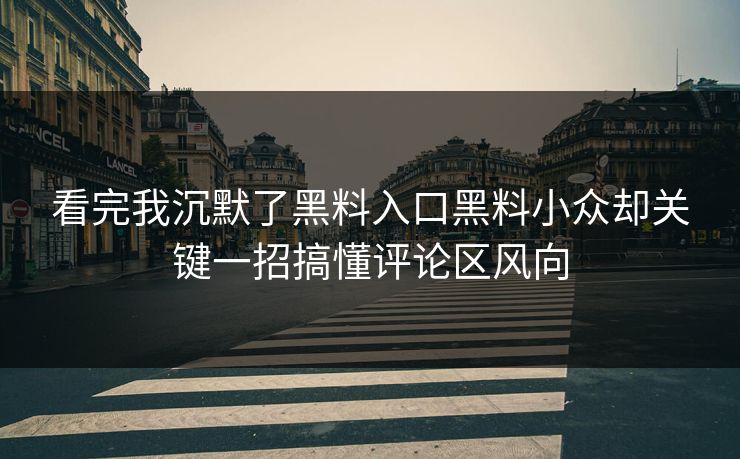 看完我沉默了黑料入口黑料小众却关键一招搞懂评论区风向