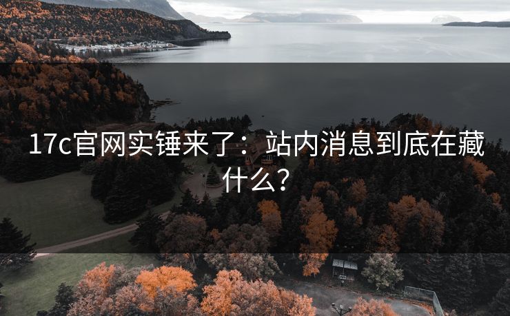 17c官网实锤来了：站内消息到底在藏什么？