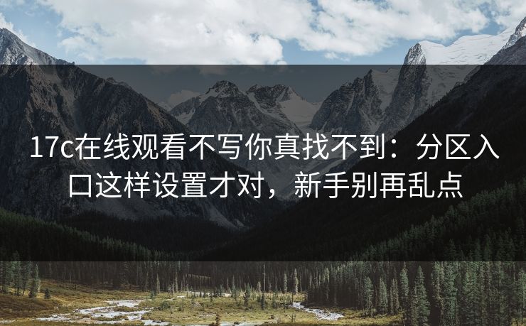 17c在线观看不写你真找不到：分区入口这样设置才对，新手别再乱点