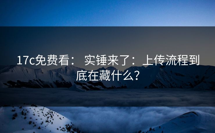 17c免费看： 实锤来了：上传流程到底在藏什么？